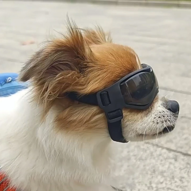 Слънчеви очила Winproof за кучета, подходяща за кучета със средни размери, очила за домашни любимци, за каране на сняг, плаж, спорт на открито, носенето на очите Изображение 2