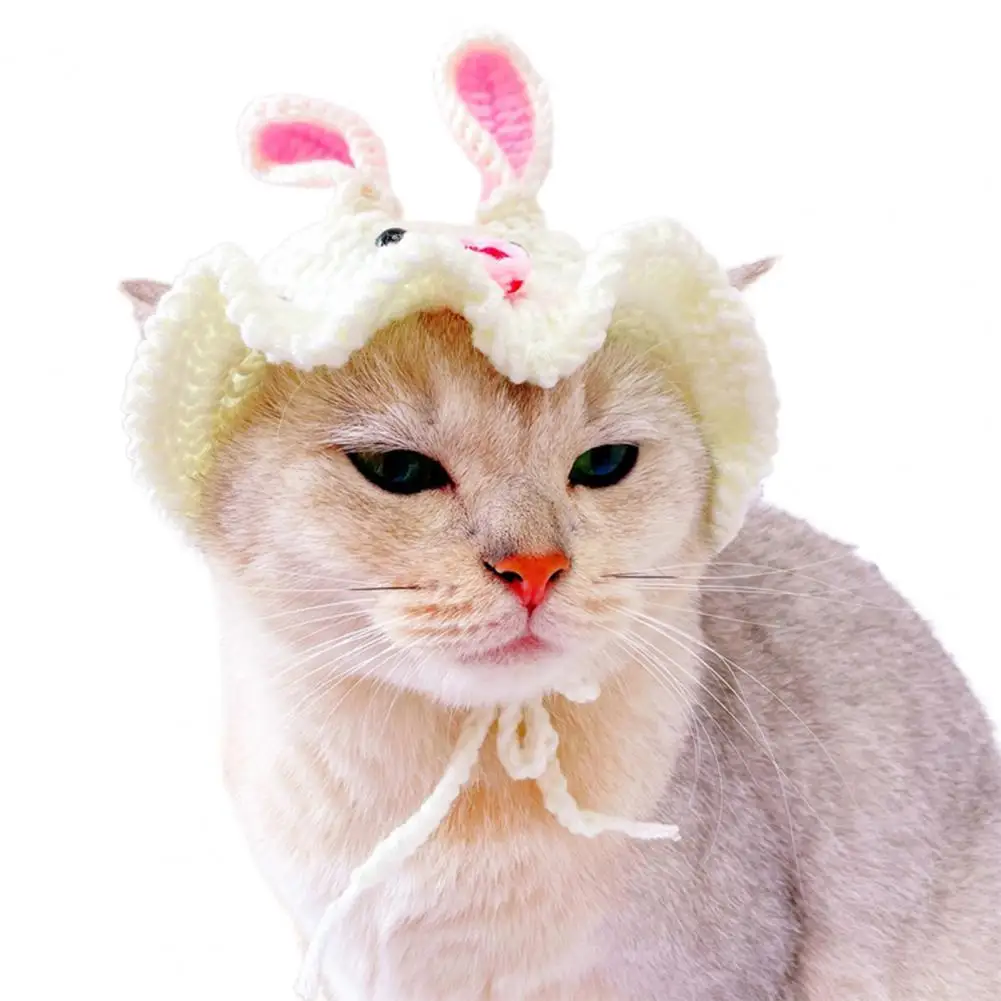 Трайна прическа за котки, Не выцветающий, Ультралегкий прическа за котки, шапка за фотография в стил мультяшного Заек Изображение 2