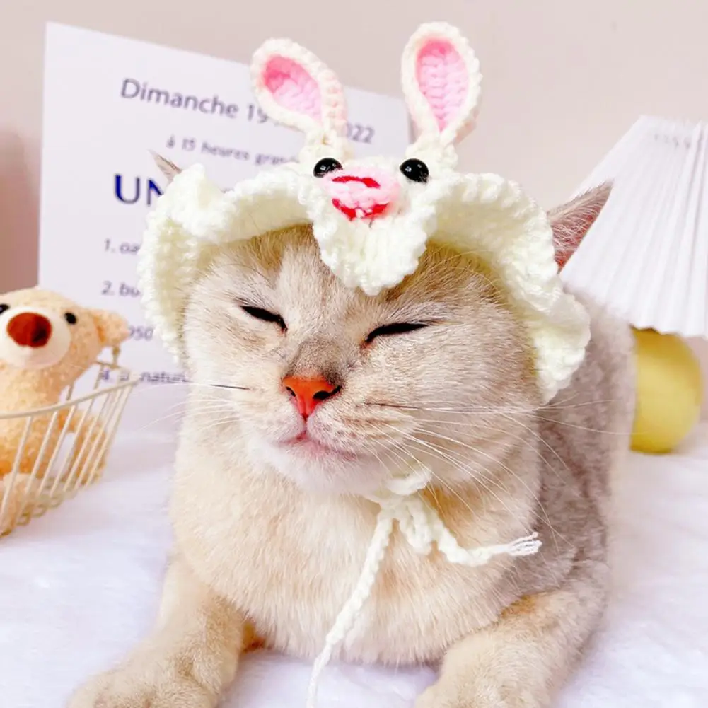 Трайна прическа за котки, Не выцветающий, Ультралегкий прическа за котки, шапка за фотография в стил мультяшного Заек Изображение 4