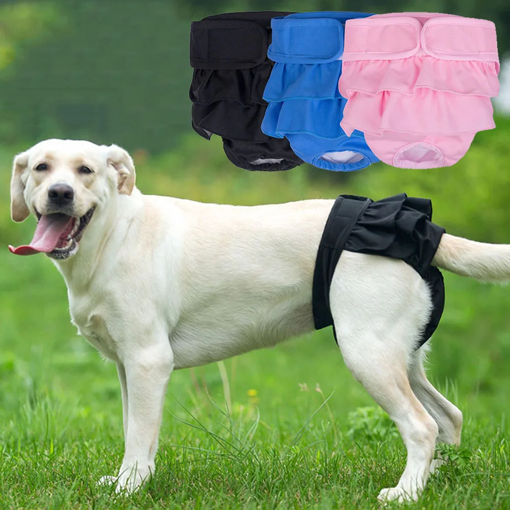 Физиологични панталони за кучета с красиви къдри, пера Дамски шорти за кучета, Мек Колан за момичета, Памперси за големи кучета, Бельо за домашни любимци Изображение 0