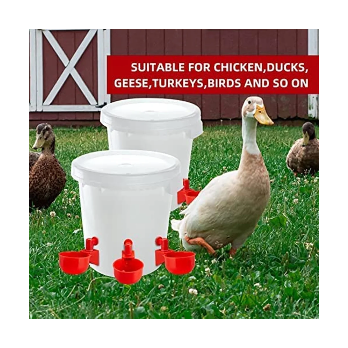 Чаши за вода за пилета, автоматично набиране за поене на пилета, пълнител за птици, Пияч за пилета Изображение 5